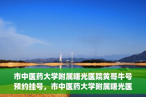 市中医药大学附属曙光医院黄哥牛号预约挂号，市中医药大学附属曙光医院黄哥牛号，预约挂号攻略