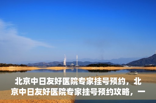 北京中日友好医院专家挂号预约，北京中日友好医院专家挂号预约攻略，一站式解决您的就医难题