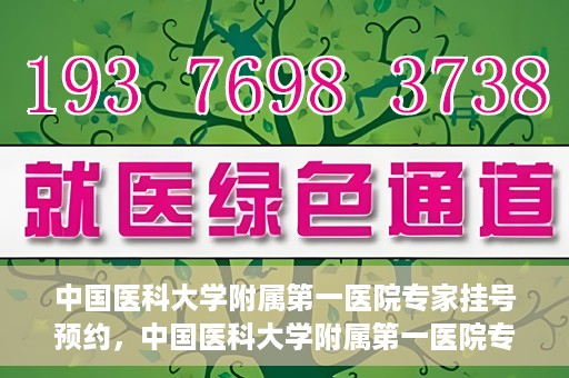 中国医科大学附属第一医院专家挂号预约，中国医科大学附属第一医院专家挂号预约攻略，一站式解决您的就医难题