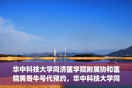 华中科技大学同济医学院附属协和医院黄哥牛号代预约，华中科技大学同济医学院附属协和医院预约服务揭秘，黄哥牛号代预约解析