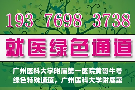 广州医科大学附属第一医院黄哥牛号绿色特殊通道，广州医科大学附属第一医院黄哥牛号，绿色特殊通道开启健康之门
