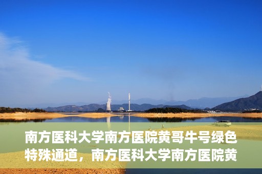 南方医科大学南方医院黄哥牛号绿色特殊通道，南方医科大学南方医院黄哥牛号，绿色特殊通道开启健康之门