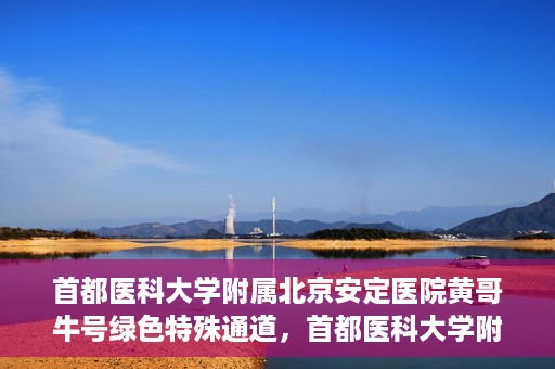 首都医科大学附属北京安定医院黄哥牛号绿色特殊通道，首都医科大学附属北京安定医院黄哥牛号绿色特殊通道，探索与实践