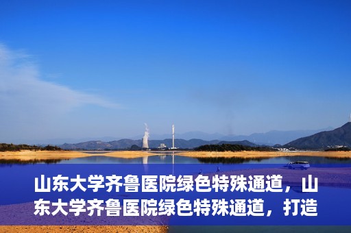 山东大学齐鲁医院绿色特殊通道，山东大学齐鲁医院绿色特殊通道，打造健康新通道，引领医疗新时代