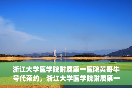 浙江大学医学院附属第一医院黄哥牛号代预约，浙江大学医学院附属第一医院黄哥牛号预约攻略揭秘